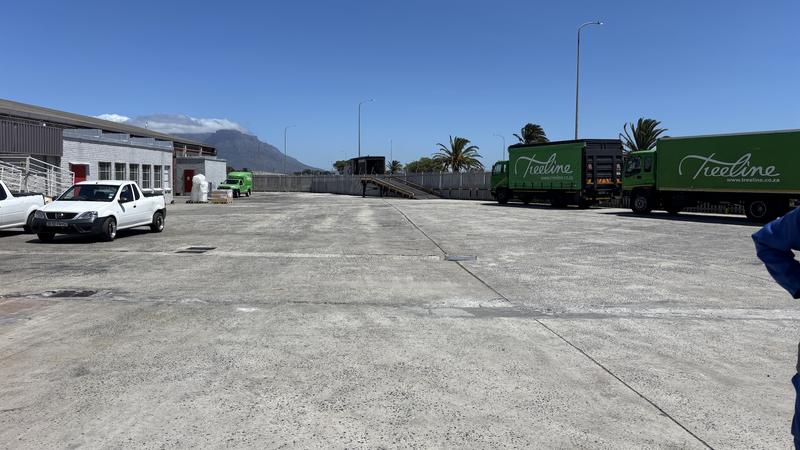 To Let commercial Property for Rent in Epping Western Cape